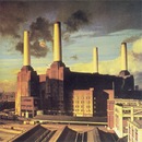 Фотография Чауса Виталия