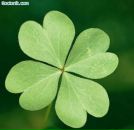 Фотография Loginova Anna