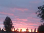 Аркадій Ковальчук фотография #12 (источник - https://vk.com/id313887503)