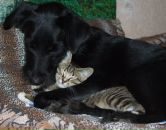 Фотография Леонтьевой Олеси