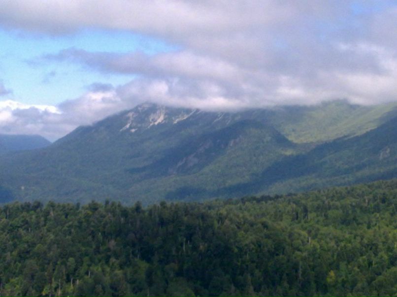 Mars Temkaev фотография #32