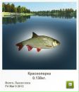Толік Протачук фотография #3 (источник - https://vk.com/id166449878)
