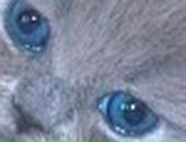 Лера Лоц фотография #6 (источник - https://vk.com/id57504657)