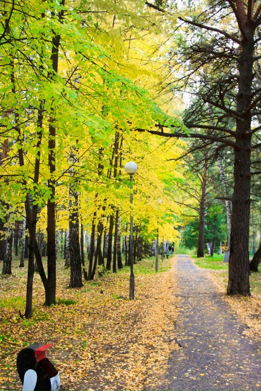 Александр Романов фотография #13