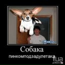 Андрій Філевський фотография #20 (источник - https://vk.com/id8253747)