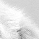 Альона Кіссс фотография #41 (источник - https://vk.com/id112118890)