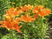 Фотография Живчук Татьяны