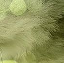 Марія Гірняк фотография #2 (источник - https://vk.com/id135497955)