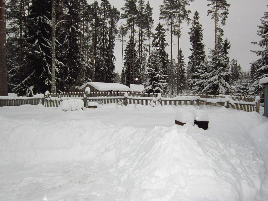 Сергей Новков фотография #44