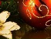 Алла Курінчук фотография #20 (источник - https://vk.com/id132847457)