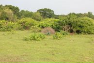 Кса На фотография #11 (источник - https://vk.com/id3671604)