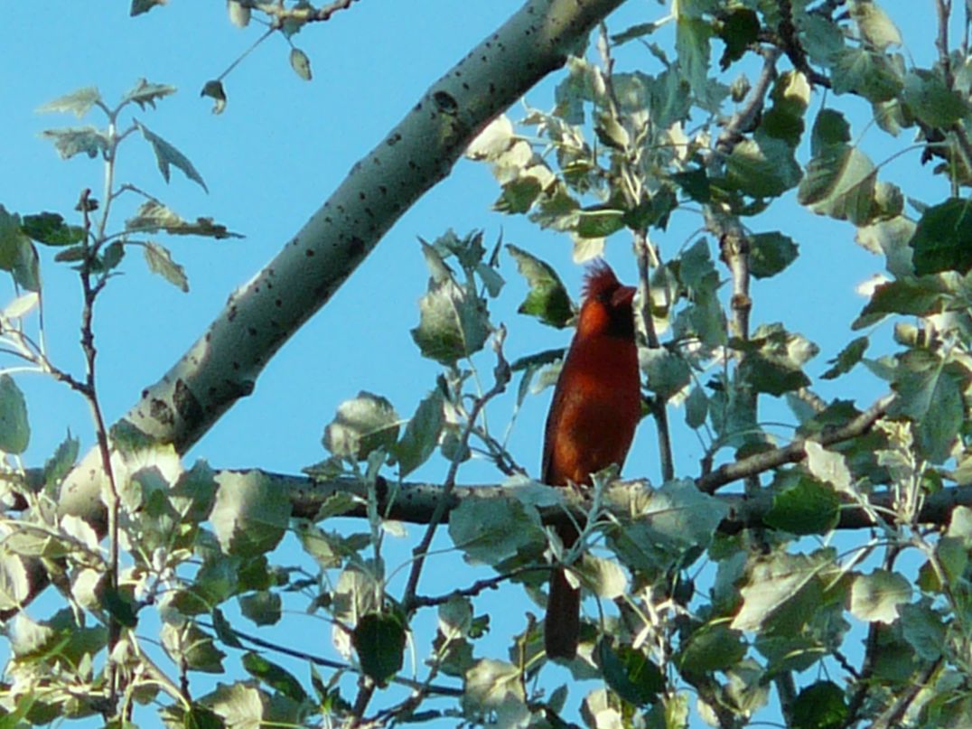 Валерия Ли фотография #45