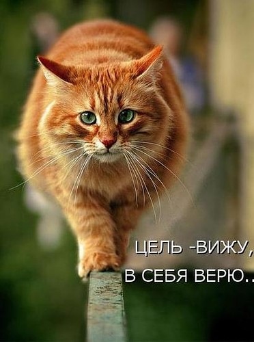 №9, Юлия Тясто, 41 год, Санкт-Петербург №9, Юлия Тясто, 41 год, Санкт-Петербург