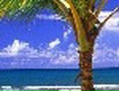 Лера Лоц фотография #16 (источник - https://vk.com/id57504657)