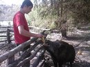 Ігор Кардаш фотография #18 (источник - https://vk.com/id145962458)