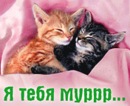 Юлія Зданевич фотография #1
