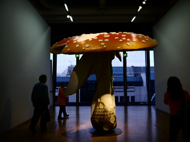 Дмитрий Гармидер фотография #35