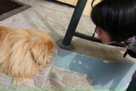 Фотография Дёминой Юлии