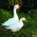 Фотография Гусевой Оксаны