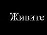 Вікторія Дячук фотография #39 (источник - https://vk.com/id162022477)