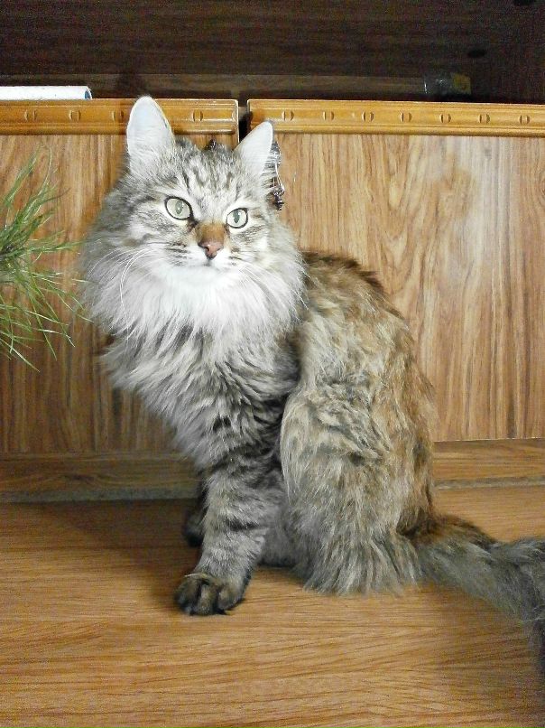 Софья Урманчеева фотография #43