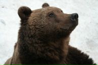 Фотография Лукиной Александры