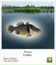 Ріхард Козьма фотография #11 (источник - https://vk.com/id133594969)