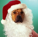 Фотография Зелениной Анны