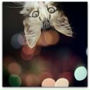 Ірина Тимохина фотография #8 (источник - https://vk.com/id9319270)