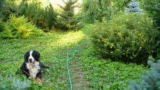 Рогнеда Степанова фотография #35 (источник - https://vk.com/id8756748)