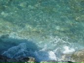 Фотография Павленко Ольги