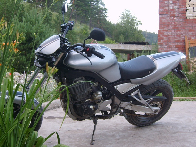 Евгений Койот фотография #39