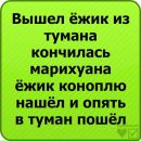 Андрій Сорока фотография #15 (источник - https://vk.com/id126766689)