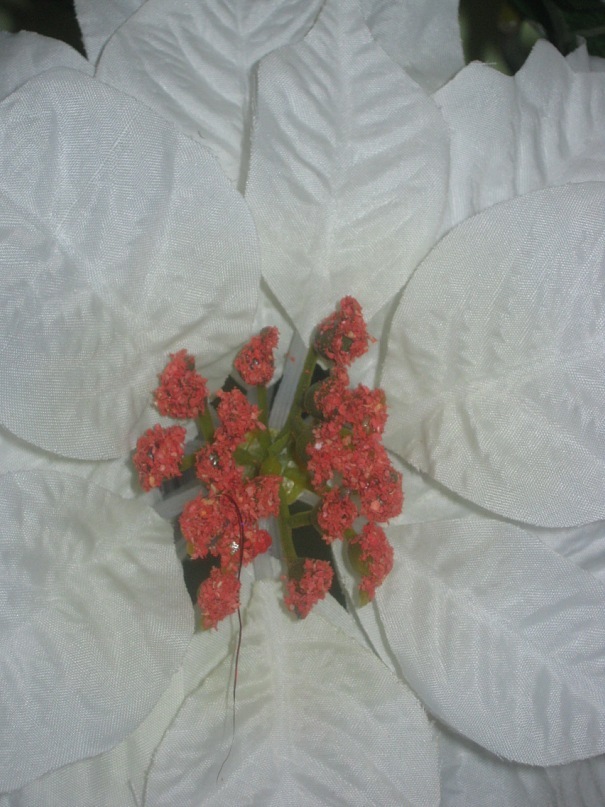 Оля Савиных фотография #14