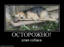 Александр Головань фотография #8 (источник - https://vk.com/id55811247)