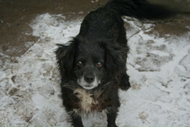 Робин Рут фотография #5