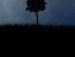 Марина Щербак фотография #43 (источник - https://vk.com/id29860188)