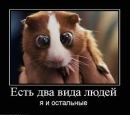 Фотография Балова Димы