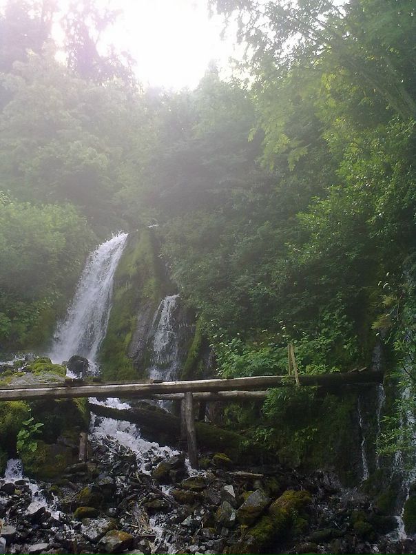 Igor Igor фотография #41