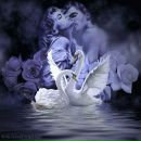 Маша Голіней фотография #23 (источник - https://vk.com/id111081462)