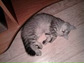 Полина Иванова фотография #44 (источник - https://vk.com/id402498)