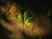 Олександра Бусілкова фотография #26 (источник - https://vk.com/id11617108)