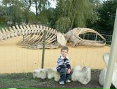 Наталія Лойко фотография #16 (источник - https://vk.com/id97309274)