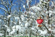 Фотография Четвериковой Тины