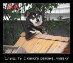 Пєтька Мазярчук фотография #40 (источник - https://vk.com/id67597186)