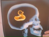 Фотография Гомзяковой Анастасии