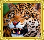 Фотография Сковикова Леонида