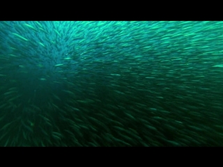 Аляска: земли замёрзшего королевства / Alaska: Earth's Frozen Kingdom / S01E01 из 03 / на русском