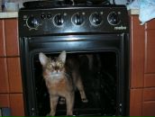 Фотография Андреевой Ольги