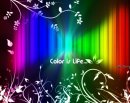 Искандер Plet фотография #29 (источник - https://vk.com/id23132360)